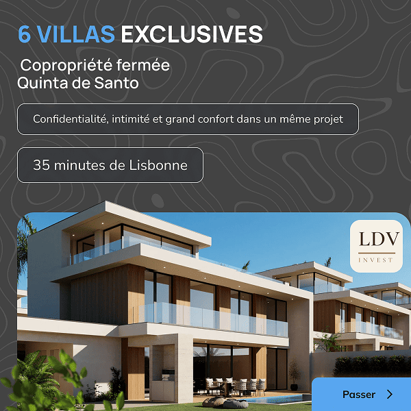 LDV Invest