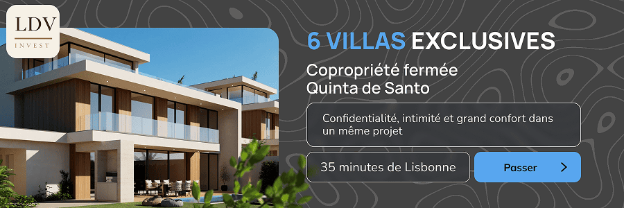LDV Invest