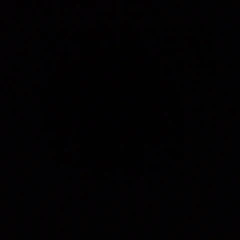 Dua Shpi