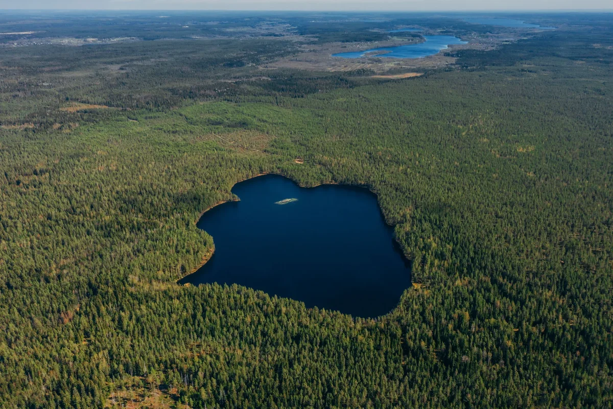 вид на водоем сверху