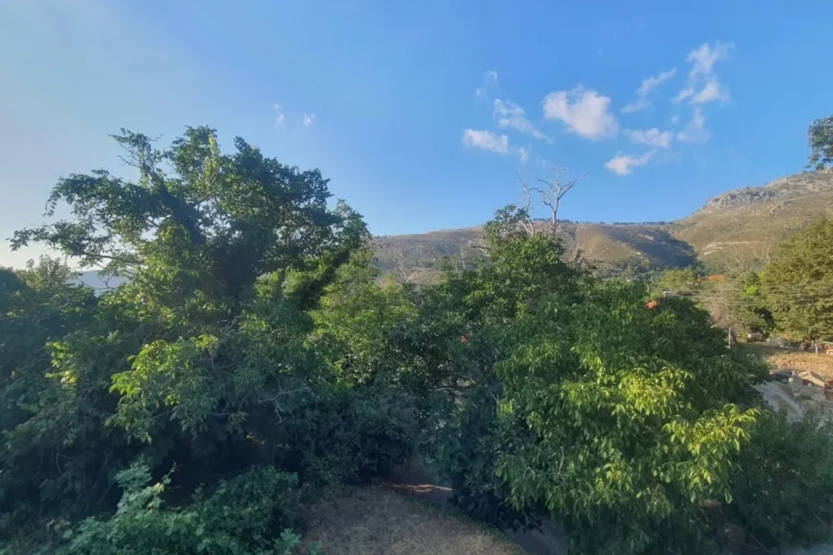 nature view
