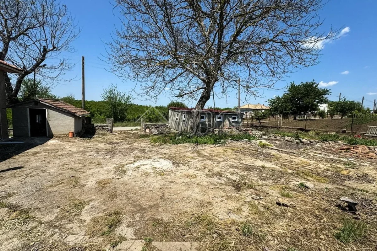 house backyard