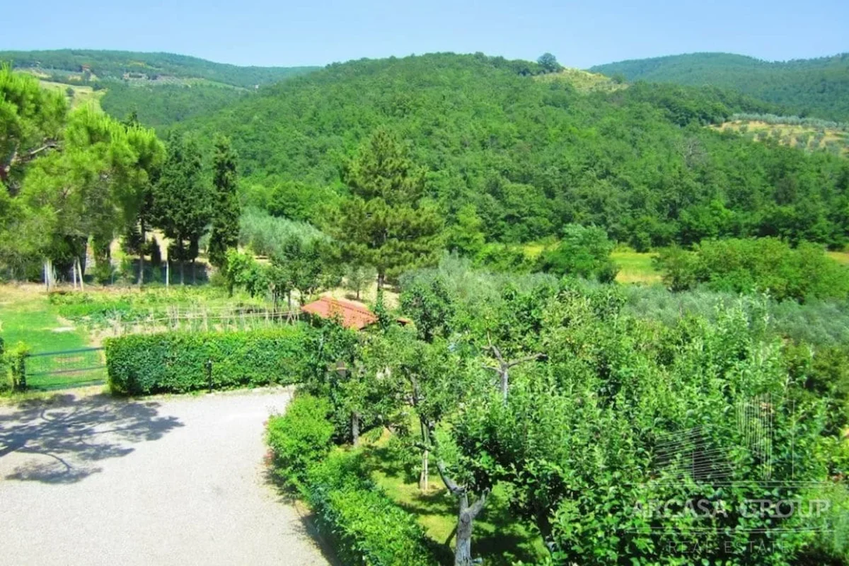 view of nature in Tuscany