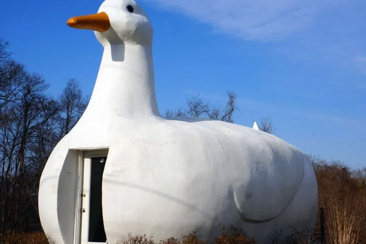 The Big Duck Building on Long Island