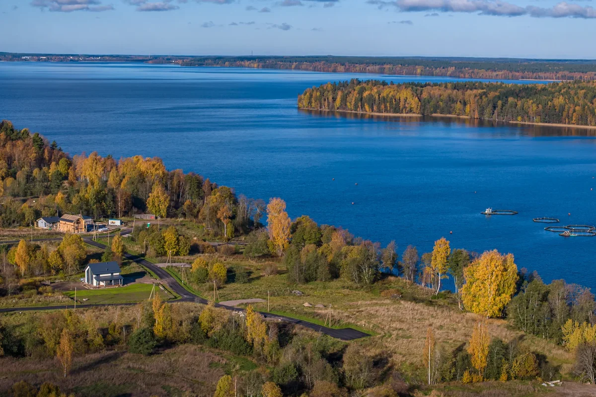 вид на поселок и лес