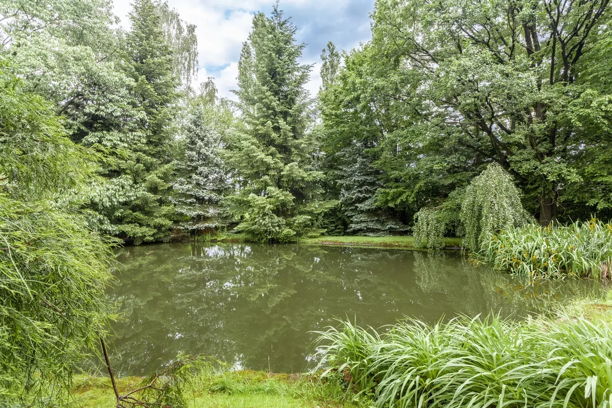 Сад и небольшой пруд на участке особняка в Польше