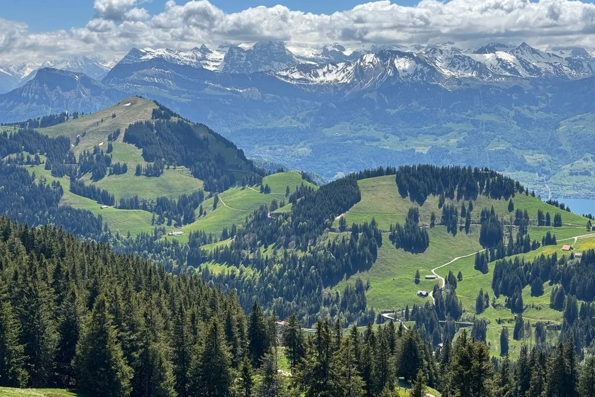 горные луга возле вершины Риги, Швейцария