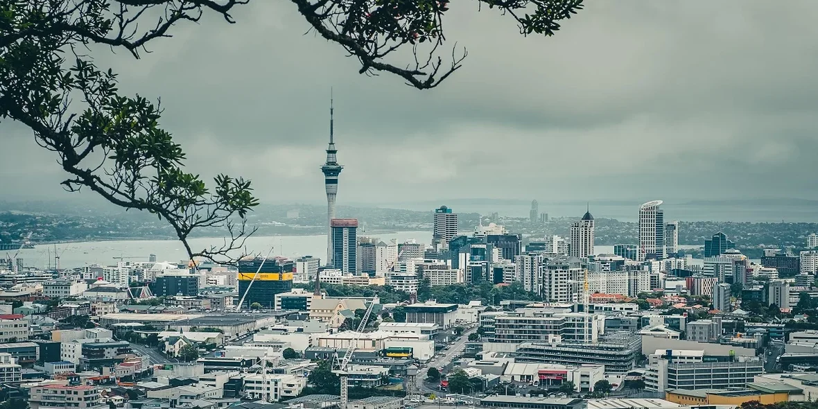 Houses in New Zealand, Auckland
