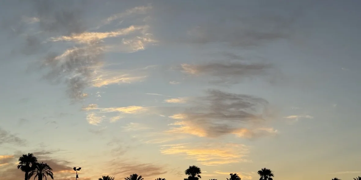 Sunset on the background of palm trees, Spain