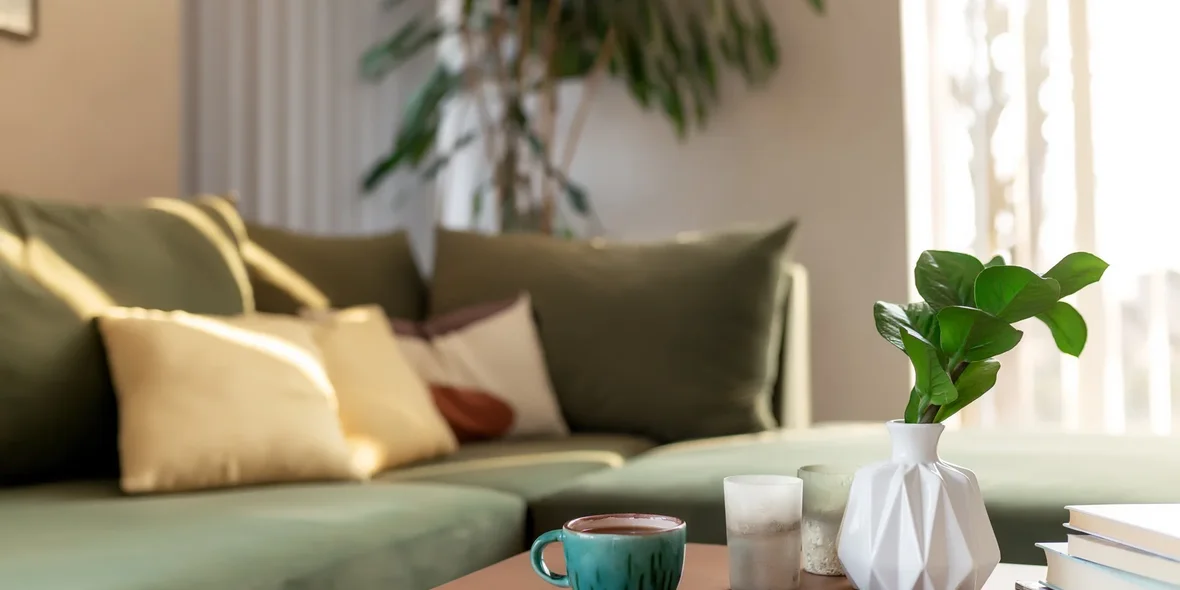 Comfort Class Housing: Features and Characteristics
