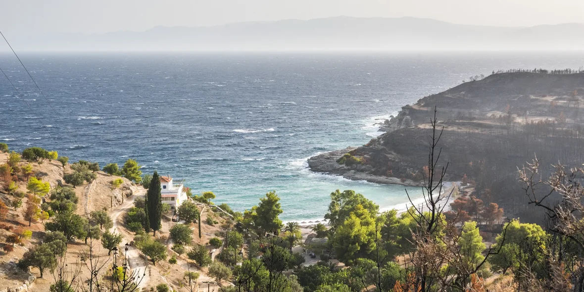 Forest fire damage, Attica, Aegean coast, Greece