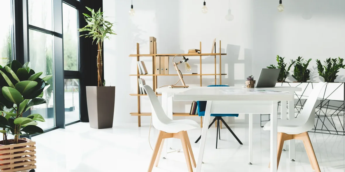 Offices: Types, Characteristics, Target Audience