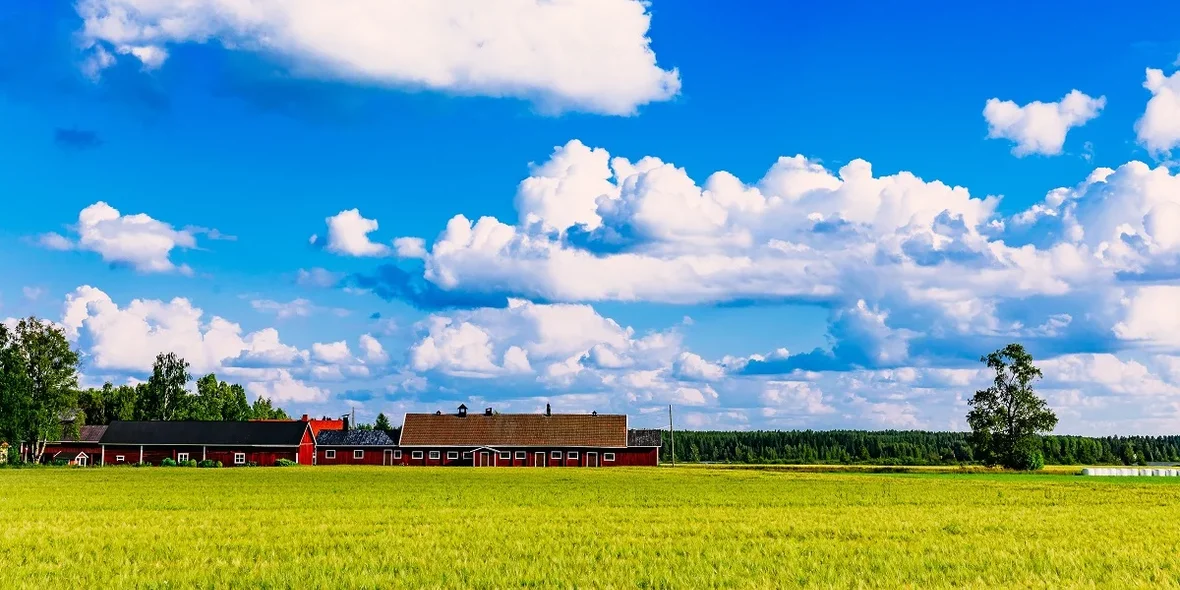 Finnish landscape