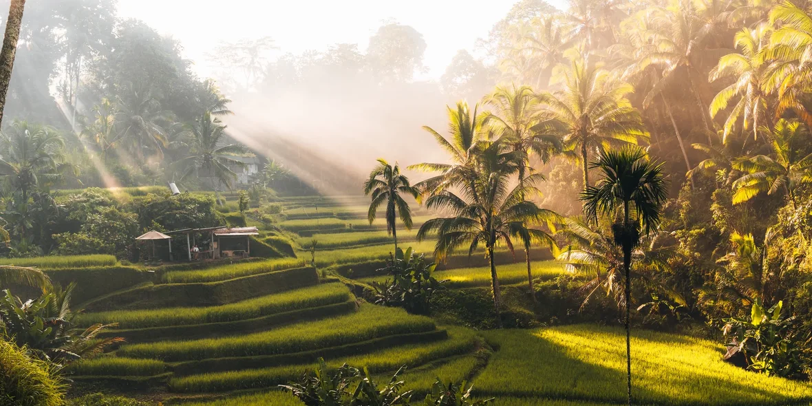 Почему Убуд — новая жемчужина Бали