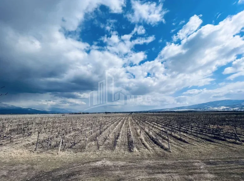 Земельные участки 21 000 м² Тбилиси, Грузия