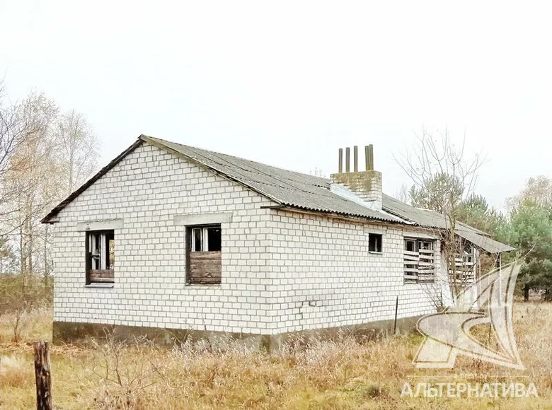 Casa 64 m² Dzivin, Belarús