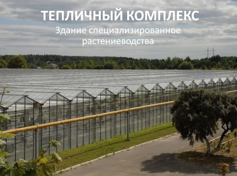 Manufacture 950 m² in Baravuchski sielski Saviet, Belarus