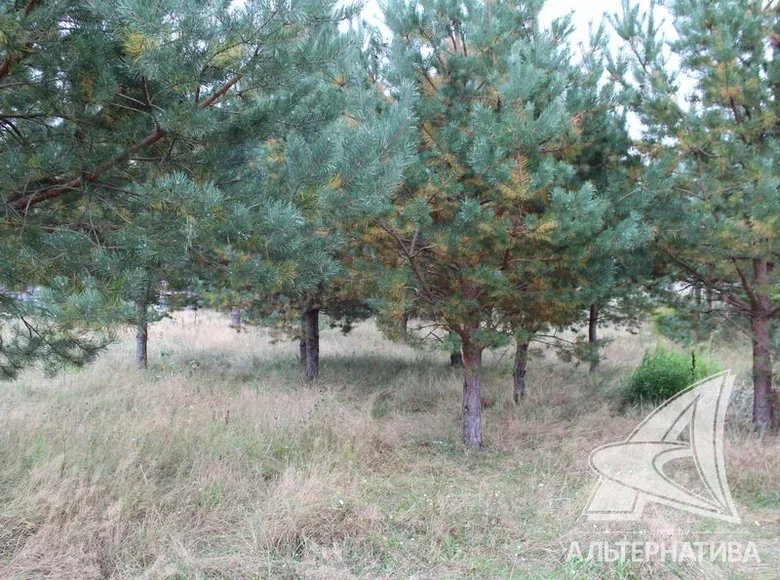 Grundstück  Damacauski sielski Saviet, Belarus