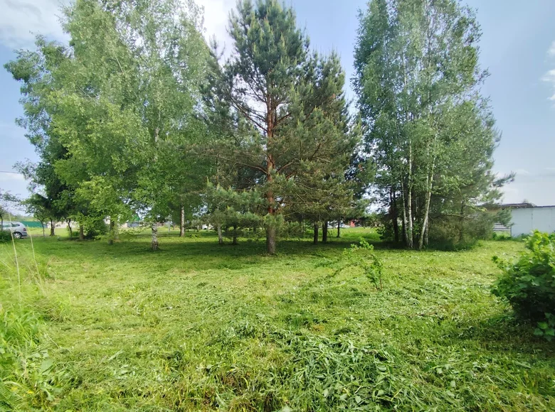 Grundstück  Zodzinski sielski Saviet, Belarus