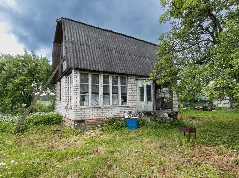 Casa 38 m² Lasanski sielski Saviet, Belarús