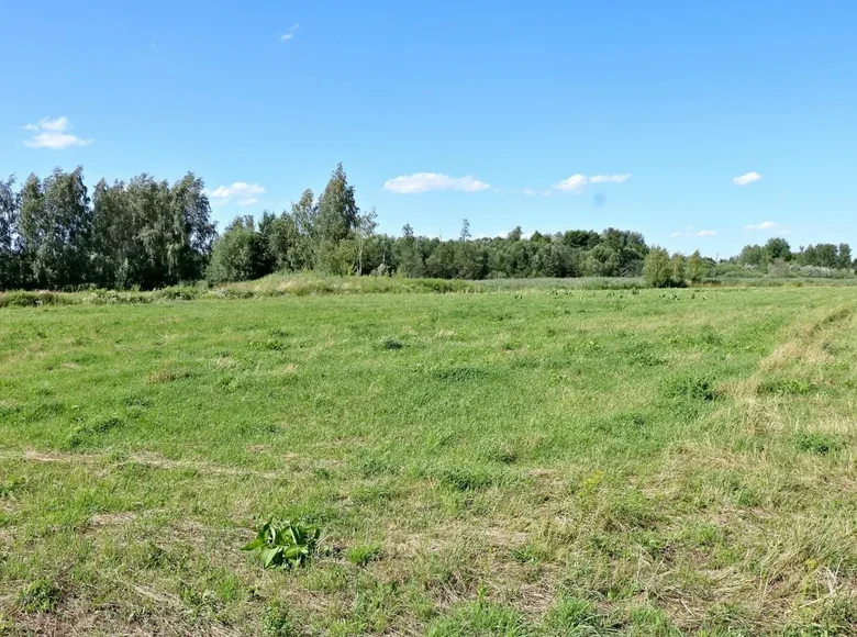 Atterrir 1 chambre 2 051 m² Varsovie, Pologne