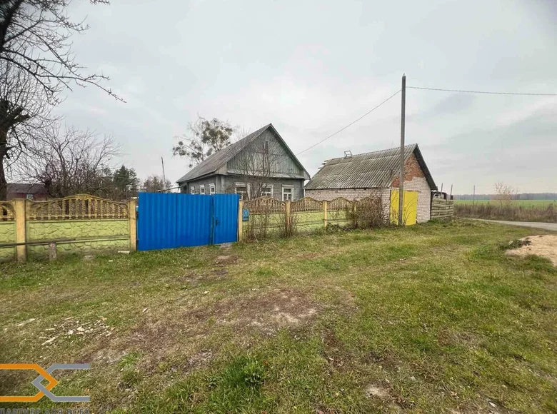 Haus 47 m² Zazevicki sielski Saviet, Belarus