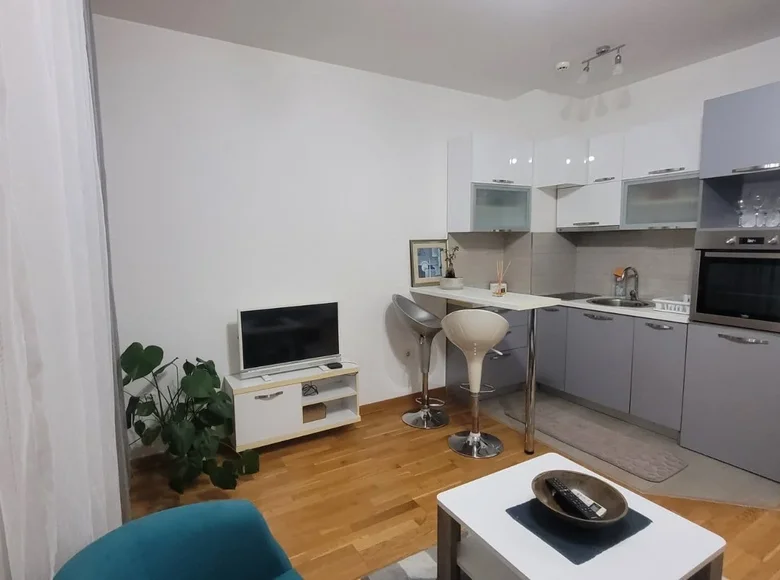 1 room studio apartment 26 m², Montenegro