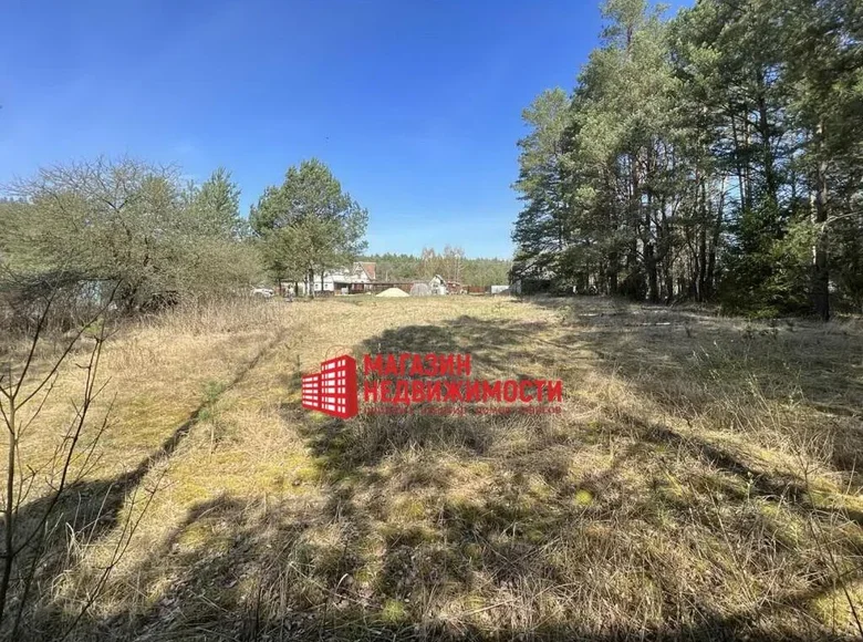 Działki  Hozski sielski Saviet, Białoruś