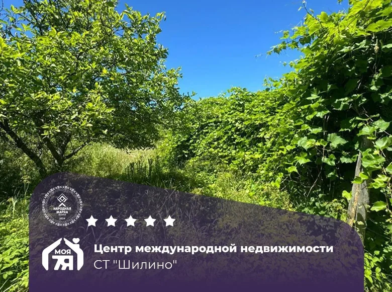 Parcelas  Losnicki sielski Saviet, Belarús