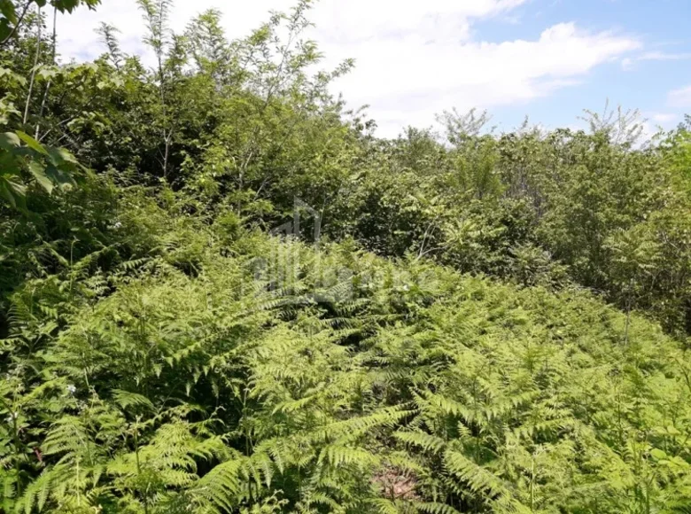 Atterrir 7 000 m² Tbilissi, Géorgie