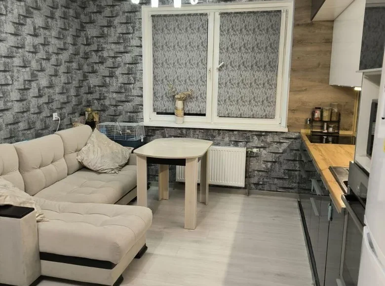 1 room apartment 45 m² Minsk, Belarus
