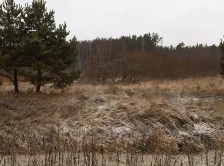 Parcelas 56 000 m² Letonia, Letonia