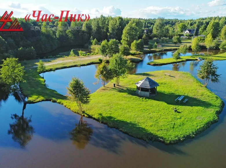 Atterrir  Naracki sielski Saviet, Bélarus