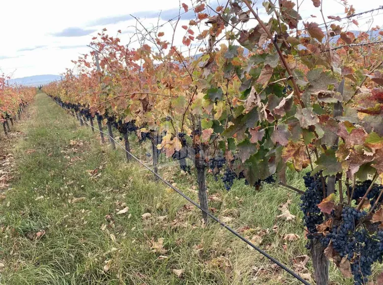 Land 350 000 m² Tbilisi, Georgia