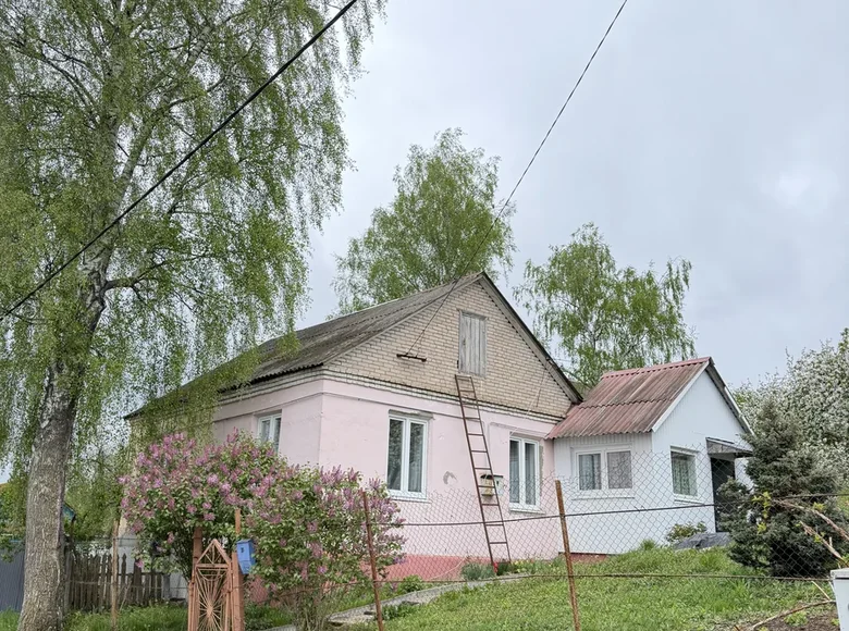 Maison 43 m² Barawliany, Bélarus