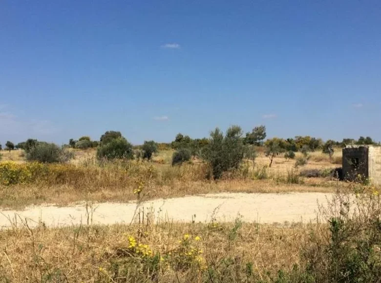 Atterrir  Mazotos, Chypre