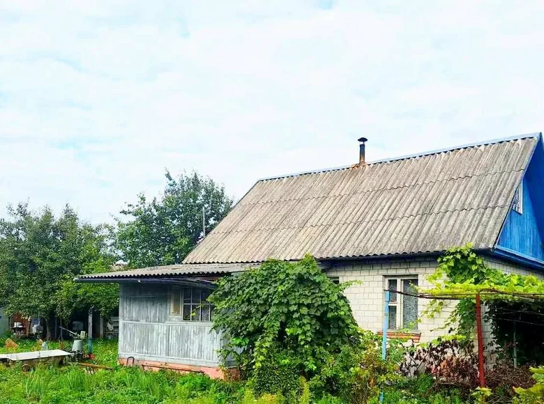 House 49 m² Ziabrauski sielski Saviet, Belarus