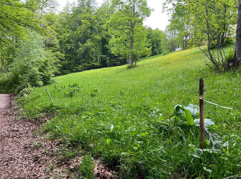 Działki 1 200 m² Kolasin Municipality, Czarnogóra