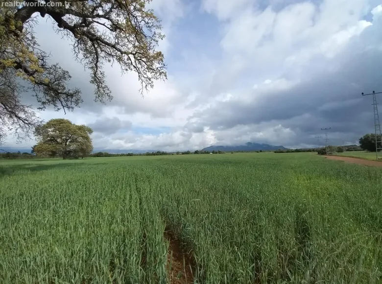 Grundstück 5 m² Kizilli, Türkei