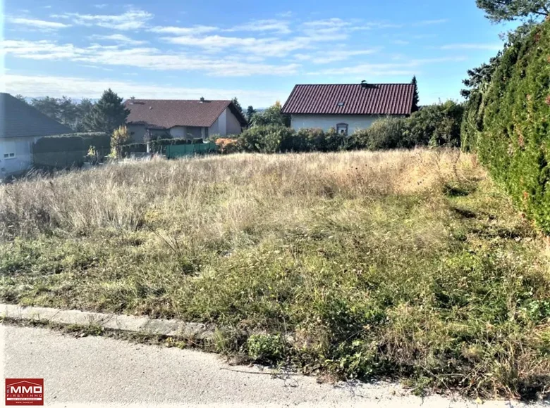 Działki 9 742 m² Steinberg Dorfl, Austria