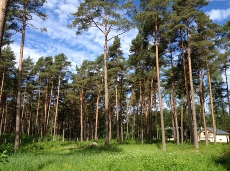 Atterrir 4 568 m² Jurmala, Lettonie