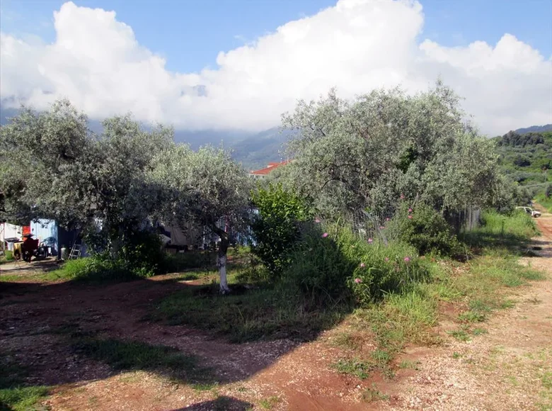 Działki 1 pokój  Skala Potamias, Grecja