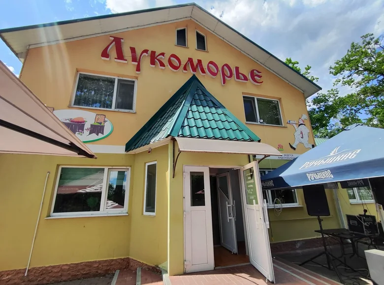 Restaurant 265 m² in Dudzicki sielski Saviet, Belarus