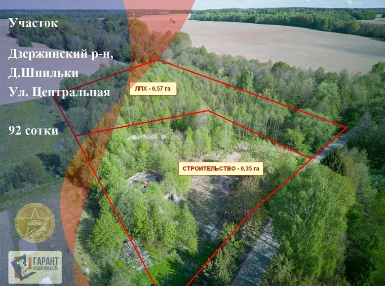 Land  Dziamidavicki sielski Saviet, Belarus