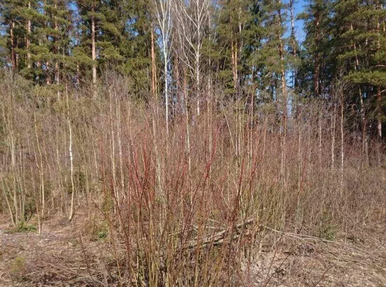 Land  Kalodziscanski sielski Saviet, Belarus