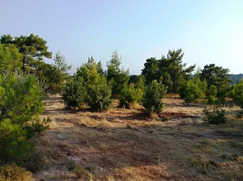 Apartment  Dora, Cyprus