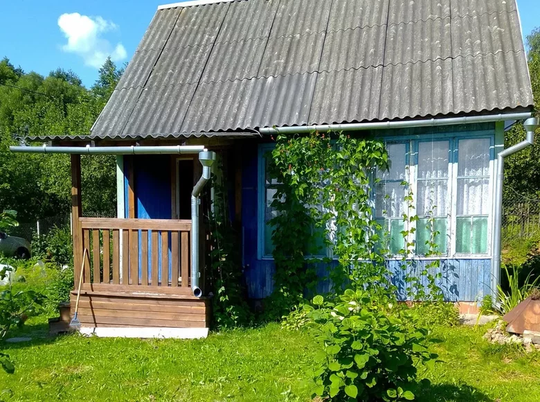 House 47 m² in Maladzyechna District, Belarus