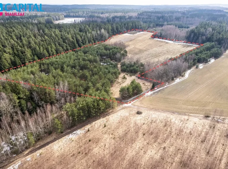 Atterrir  Puikiske, Lituanie