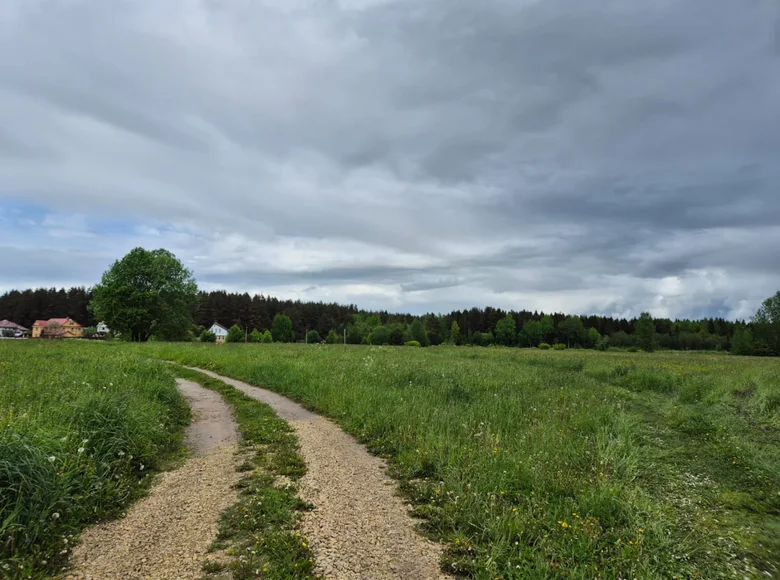 Земельные участки  Гатчинский муниципальный округ, Россия