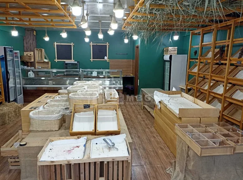 Propriété commerciale 55 m² à Tbilissi, Géorgie